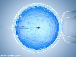 关于 供卵代生网